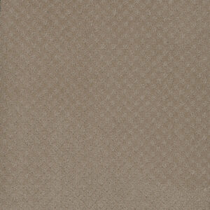 Dreamweaver Carpet Capri Warm Sand Carpet 1428_6339