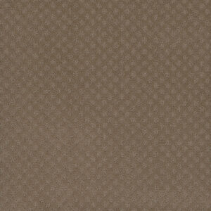 Dreamweaver Carpet Capri Deer Path Carpet 1428_6564