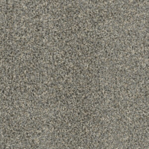 Dreamweaver Carpet Tracker Stonehenge Carpet 1524_388