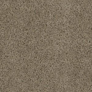Dreamweaver Carpet Tracker Honey Beige Carpet 1524_510