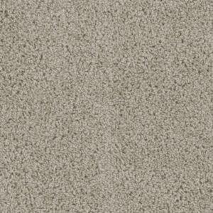 Dreamweaver Carpet Tracker Flax Beige Carpet 1524_535