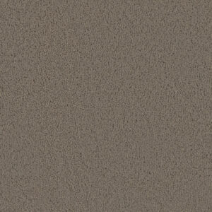 Dreamweaver Carpet Tracker Barnwood Carpet 1524_550