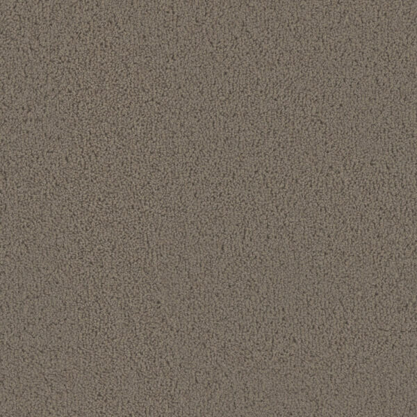 Dreamweaver Carpet Tracker Barnwood Carpet 1524_550