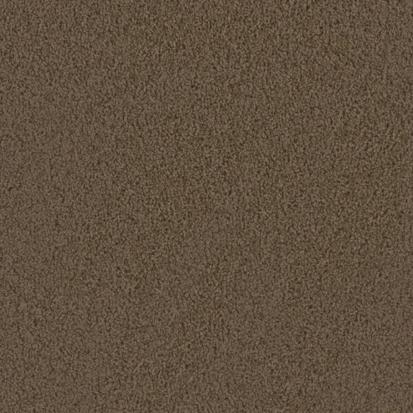 Dreamweaver Carpet Tracker Taupe Carpet 1524_565