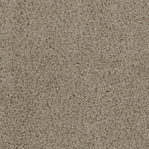 Dreamweaver Carpet Tracker Sandstone Carpet 1524_715