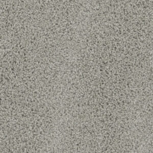Dreamweaver Carpet Tracker Dove Carpet 1524_800