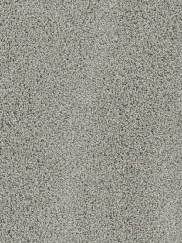 Dreamweaver Carpet Tracker Dove Carpet 1524_800