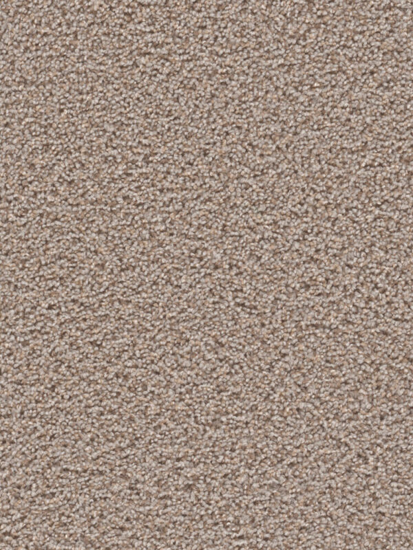 Dreamweaver Carpet Tracker Azure Carpet 1524_803