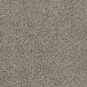 Dreamweaver Carpet Tracker Cinder Carpet 1524_835