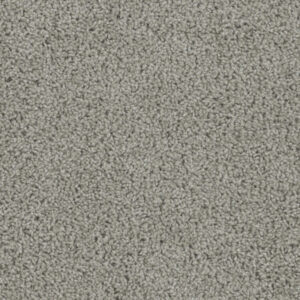 Dreamweaver Carpet Tracker Chrome Carpet 1524_927