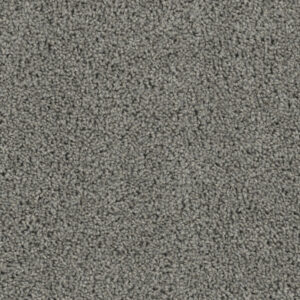 Dreamweaver Carpet Tracker Bayside Carpet 1524_956