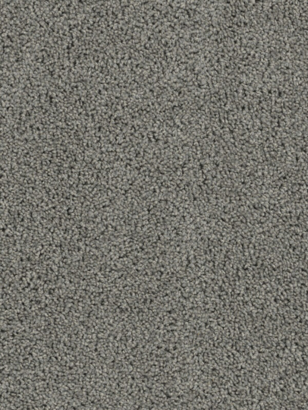 Dreamweaver Carpet Tracker Bayside Carpet 1524_956