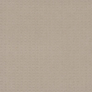 Dreamweaver Carpet Caspian Champagne Fizz Carpet 1528_6309