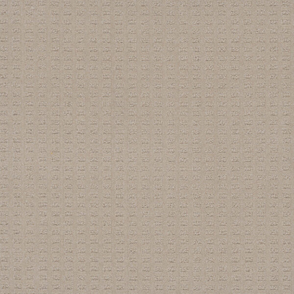 Dreamweaver Carpet Caspian Champagne Fizz Carpet 1528_6309