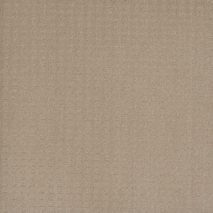 Dreamweaver Carpet Caspian Soft Pine Carpet 1528_6317