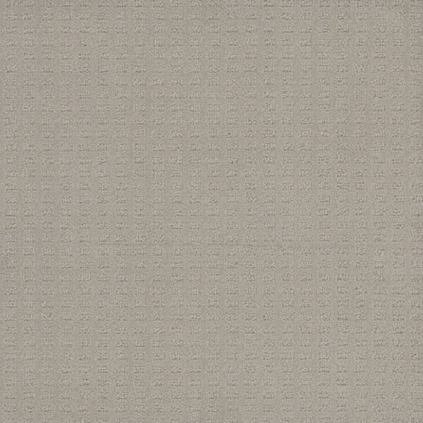 Dreamweaver Carpet Caspian Snow Cap Carpet 1528_6319