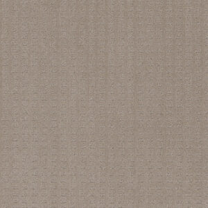 Dreamweaver Carpet Caspian Warm Sand Carpet 1528_6339