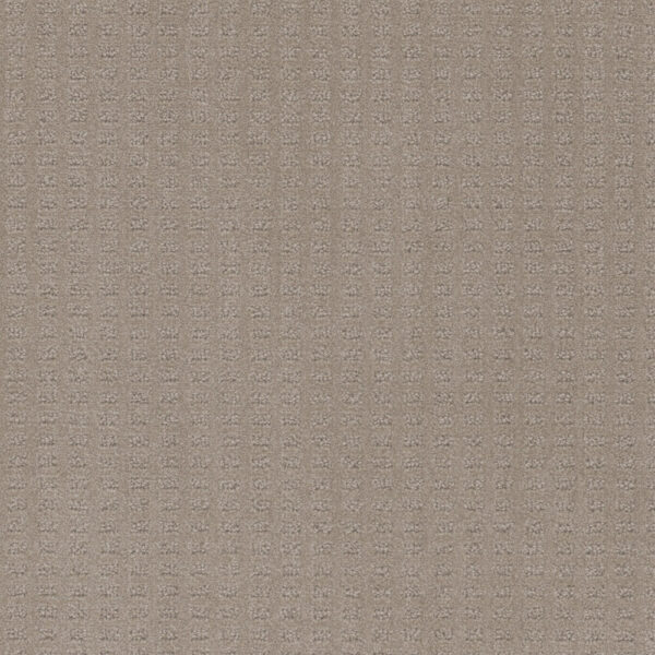 Dreamweaver Carpet Caspian Warm Sand Carpet 1528_6339