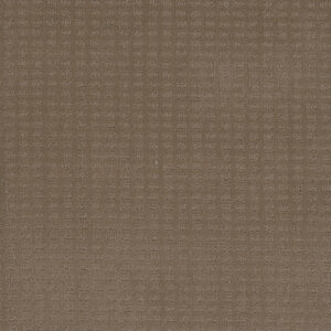 Dreamweaver Carpet Caspian Deer Path Carpet 1528_6564