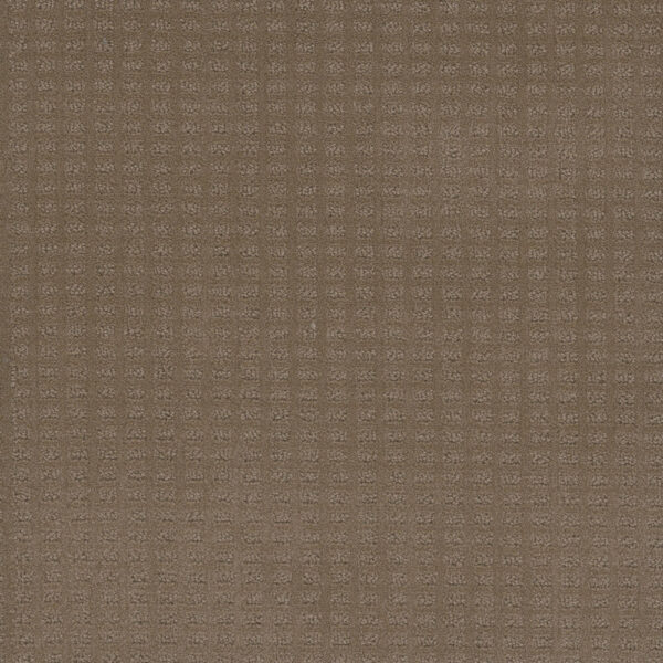 Dreamweaver Carpet Caspian Deer Path Carpet 1528_6564