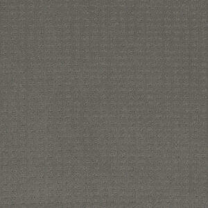 Dreamweaver Carpet Caspian Timber Ridge Carpet 1528_6841