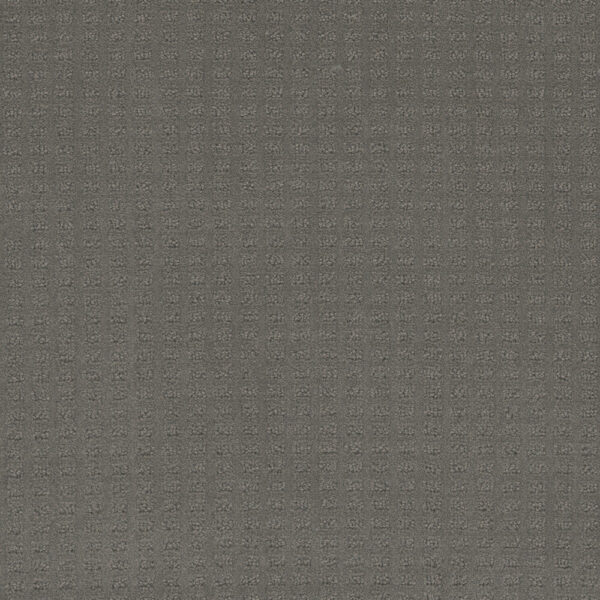 Dreamweaver Carpet Caspian Timber Ridge Carpet 1528_6841