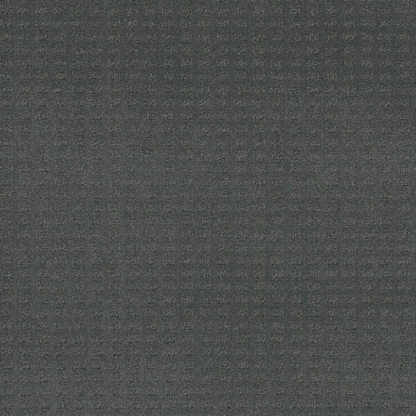 Dreamweaver Carpet Caspian Onyx Waves Carpet 1528_890
