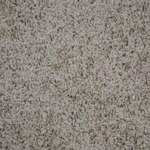 Engineered Floors - Preseason - 1874