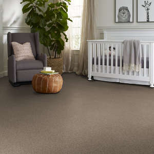 Shaw Carpet Yes You Can II 12'