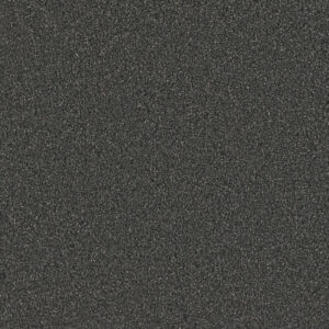 Dreamweaver Carpet No Limits III Heavy Metal Carpet 9354_2025