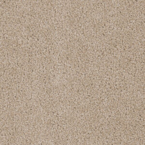 Dreamweaver Carpet Cedar Creek Cashmere Carpet 2030_580