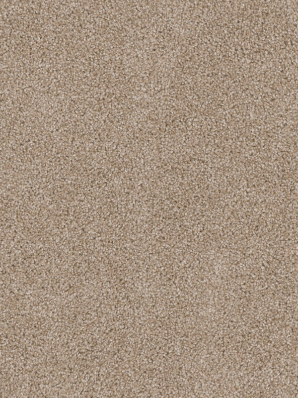 Dreamweaver Carpet Cedar Creek Sawgrass Carpet 2030_701