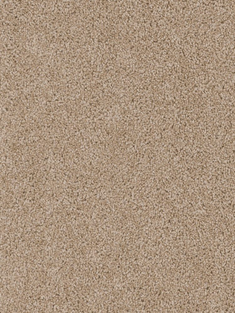 Dreamweaver Carpet Cedar Creek Camel Carpet 2030_710