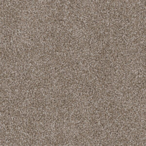 Dreamweaver Carpet Cedar Creek Harbor Carpet 2030_792