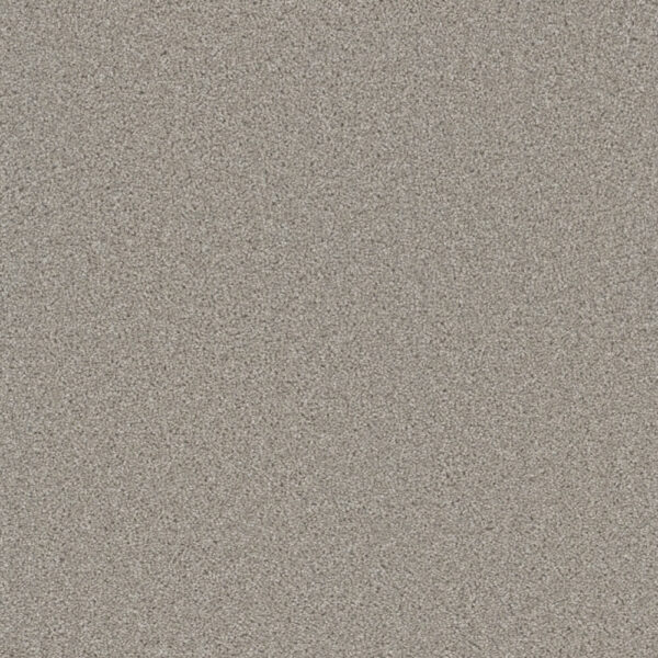 Dreamweaver Carpet Cedar Creek Silver Birch Carpet 2030_800