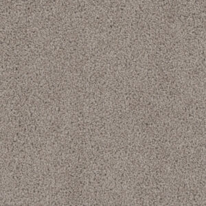 Dreamweaver Carpet Cedar Creek Castle Carpet 2030_945