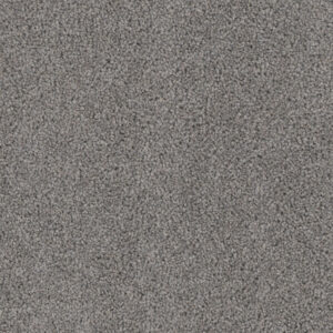 Dreamweaver Carpet Cedar Creek Bayside Carpet 2030_956