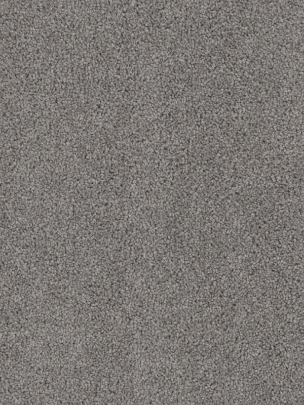 Dreamweaver Carpet Cedar Creek Bayside Carpet 2030_956