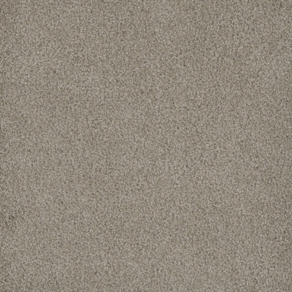 Dreamweaver Carpet Hammond Creek I Cameo Carpet 2032_174