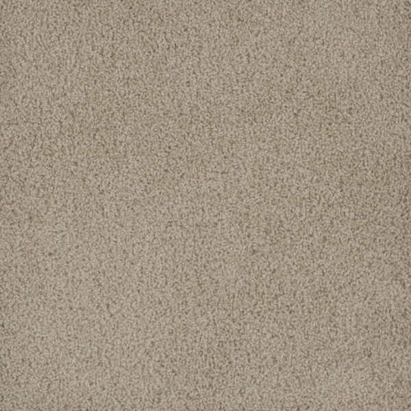 Dreamweaver Carpet Hammond Creek I Oak Bay Carpet 2032_349