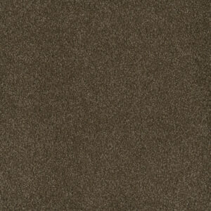 Dreamweaver Carpet Hammond Creek I Black Walnut Carpet 2032_540