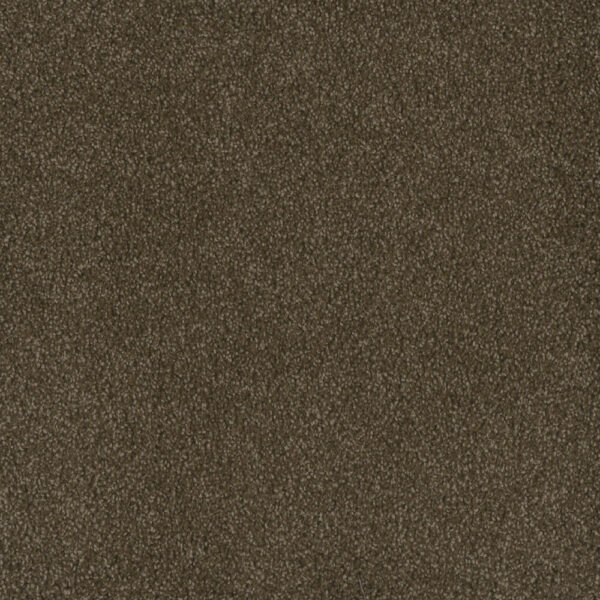 Dreamweaver Carpet Hammond Creek I Black Walnut Carpet 2032_540