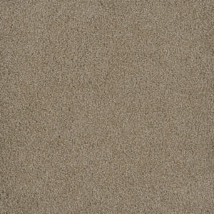 Dreamweaver Carpet Hammond Creek I Sawgrass Carpet 2032_701