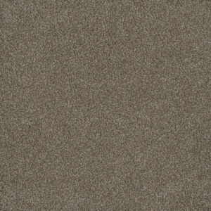 Dreamweaver Carpet Hammond Creek I Harber Carpet 2032_792