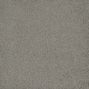 Dreamweaver Carpet Hammond Creek I Silver Birch Carpet 2032_800