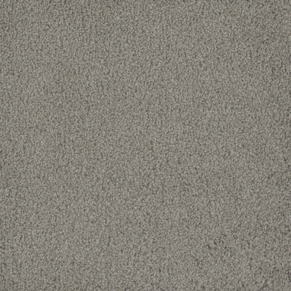 Dreamweaver Carpet Hammond Creek I Silver Birch Carpet 2032_800