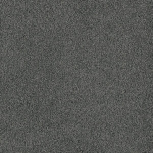 Dreamweaver Carpet Hammond Creek I Onyx Waves Carpet 2032_890