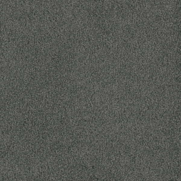 Dreamweaver Carpet Hammond Creek II Onyx Waves Carpet 2045_890