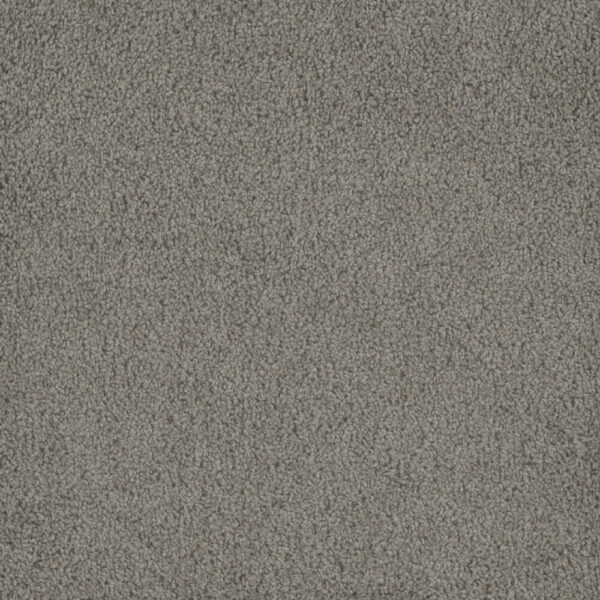 Dreamweaver Carpet Hammond Creek I Chrome Carpet 2032_927