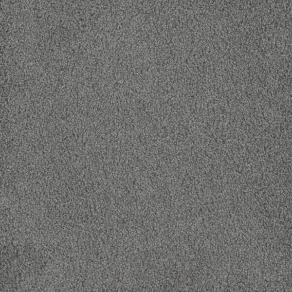 Dreamweaver Carpet Hammond Creek II Stellar Carpet 2045_938